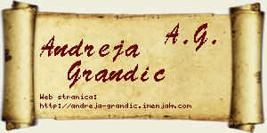 Andreja Grandić vizit kartica